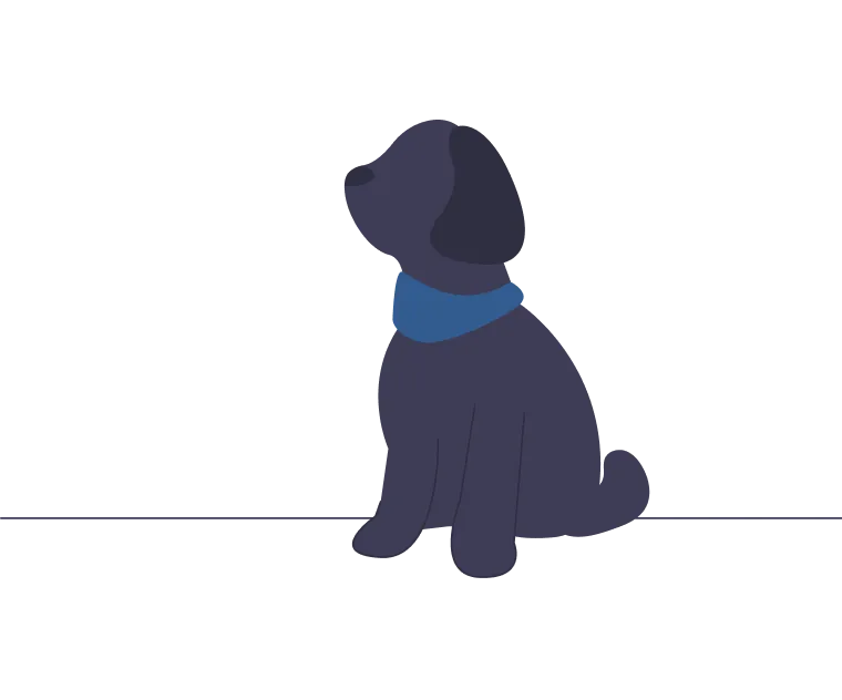 医療や保護の限界