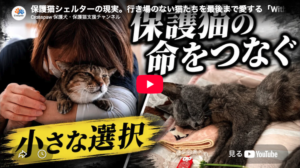withcat
